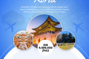 its crazy sale korea 5d