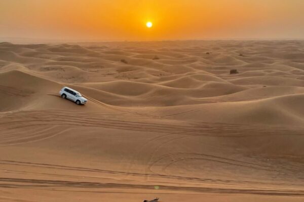 Desert Safari
