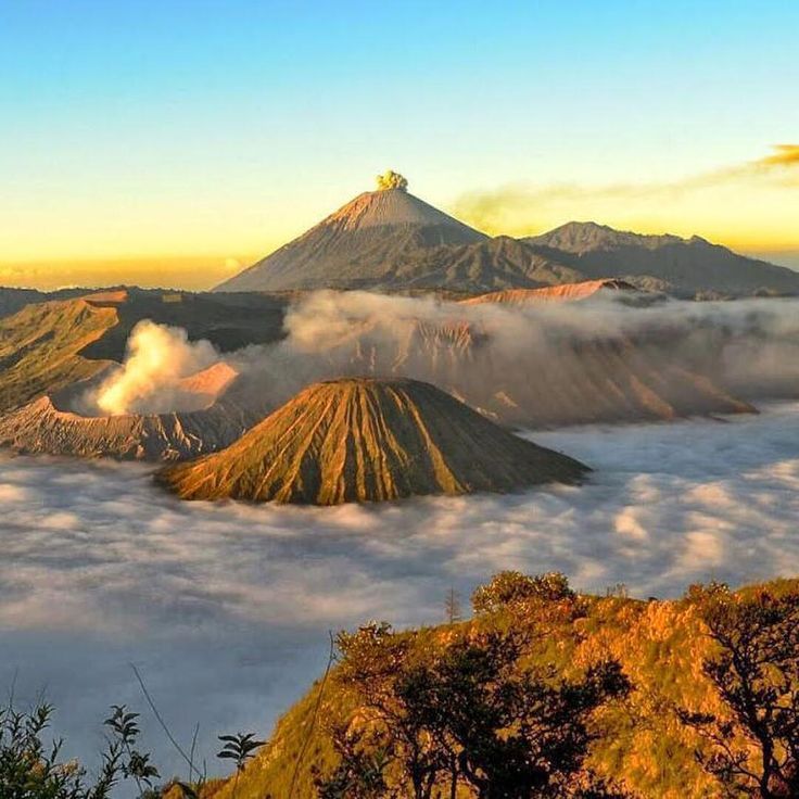 bromo